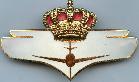 Знак Пилот
