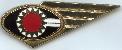 Знак Бортпроводник Conair