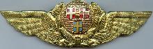 Знак Пилот SAS