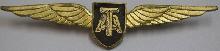 Знак Пилот Tasman Empire Airways