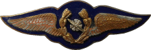 Знак Mechanician