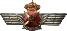 Знак Pilot observer