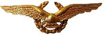Знак Старший пилот 