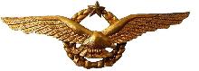 Знак Мастер пилот 