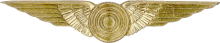 Знак Air gunner