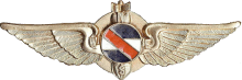 Знак Штурман-бомбардир 