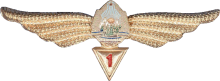 Знак Navigator 1st class