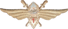 Знак Pilot 1st class Знак Pilot 1st class