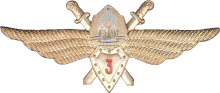 Знак Pilot 3rd class Знак Pilot 3rd class
