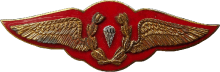 Знак Парашютист 