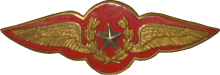 Знак Pilot