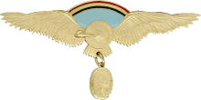 Знак Пилот командного ранга 