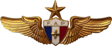 Знак Senior technician
