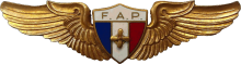 Знак Technician
