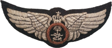 Знак Pilot