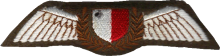 Знак Пилот 