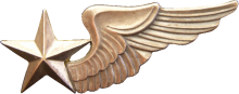 Знак Cadet-pilot