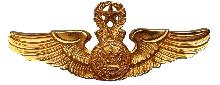 Знак Мастер пилот 