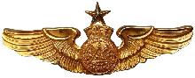 Знак Старший пилот 