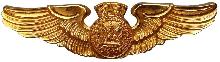 Знак Пилот 
