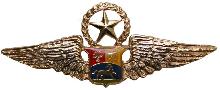 Знак Мастер пилот 