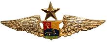 Знак Старший пилот  