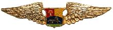 Знак Пилот 