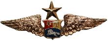 Знак Старший пилот  