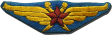 Знак Pilot Знак Pilot