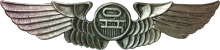 Знак Pilot