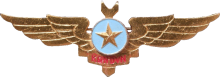 Знак Штурман