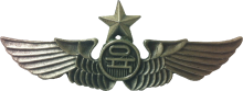 Знак Senior pilot