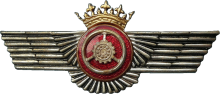 Знак Водитель
