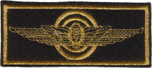 Знак Pilot