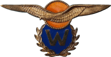Знак Pilot observer