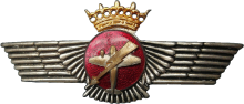 Знак Бортовой радист