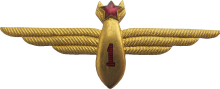 Знак Штурман 1 класса Знак Штурман 1 класса