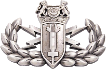 Знак Специалист по обезвреживанию боеприпасов