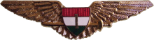 Знак Pilot 1st class