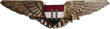 Знак Pilot 2nd class