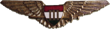 Знак Pilot 3rd class Знак Pilot 3rd class