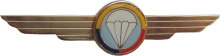Знак Парашютист ВВС