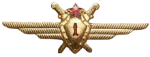 Знак Летчик 1 класса