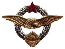 Знак Pilot