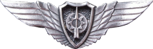 Знак Штурман