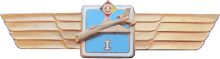 Знак Pilot 1st class Знак Pilot 1st class