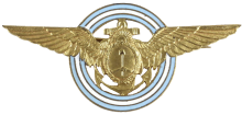Знак Command pilot