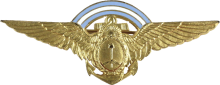 Знак Senior pilot