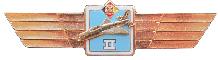 Знак Пилот 2 класса
