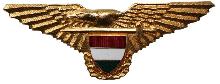 Знак Pilot